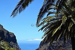 特内里费,棕榈,海