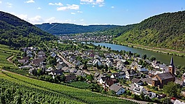 烯烴,mosel,薩克森