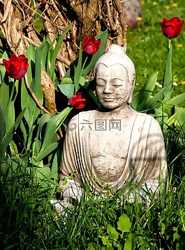 佛,佛教,宗教