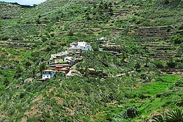 綠色,草地,村
