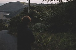 山,高原,路