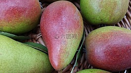 梨,水果,特寫