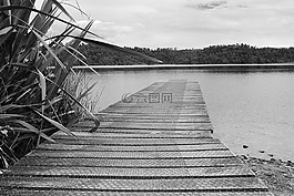 景觀,橋,湖