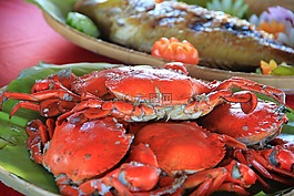 螃蟹,海鮮,海