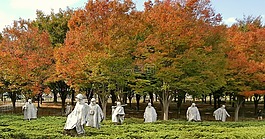 華盛頓特區(qū),雕像,紀(jì)念館