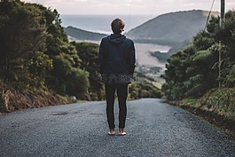 路,路徑,樹