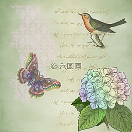 剪贴簿,鸟,纸