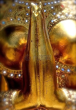 手,拇指,祈祷