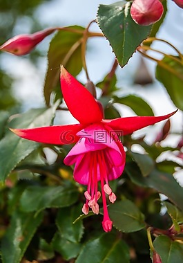 紅色,綠色,藍色