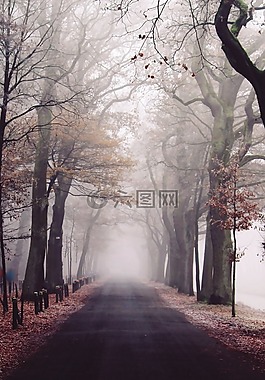 霧,公園,性質(zhì)