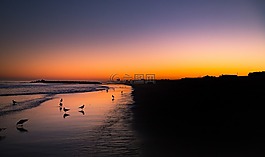 海,海洋,水