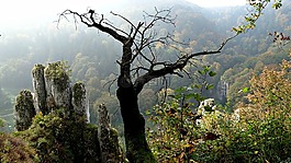 波蘭,性質(zhì),景觀