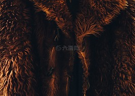毛皮,頭發(fā),服裝