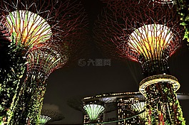 新加坡,夜,燈