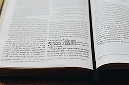 書,圣經(jīng)