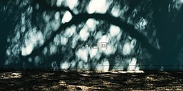 混凝土,陽光,墻