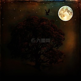 夜,滿月,月球