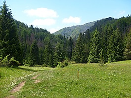 prosiecká。,巖石,性質