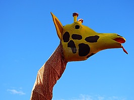 嘉年華,移動(dòng),長(zhǎng)頸鹿