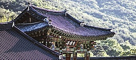 表替換公司,密陽,旅行