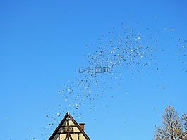 嘉年華,移動(dòng),天空