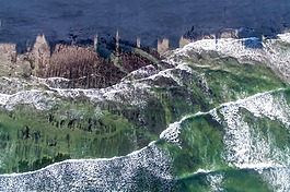 海,海洋,水