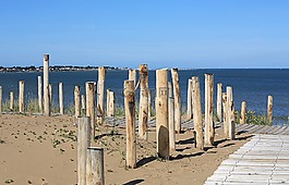 海灘,木材,海