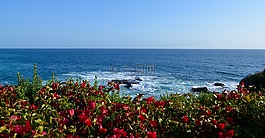 海灘,海洋,海