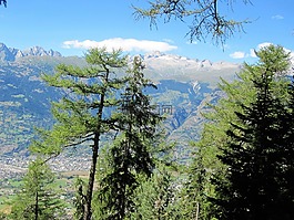 高山,瑞士,夏季