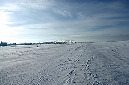 雪,冬天,冷
