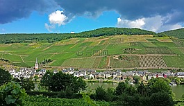 merl,mosel,萨克森