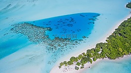 藍色,水,海
