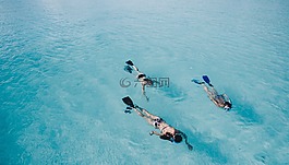 海,海洋,水