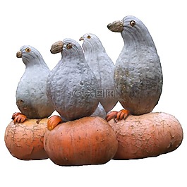 南瓜,蓬勃發(fā)展的巴洛克式,路德維希堡 德國(guó)