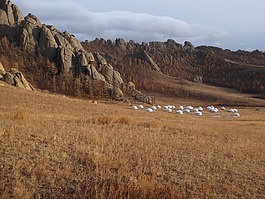 蒙古,國家公園,草原