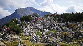 鹽山安全地帶,貝,觀點