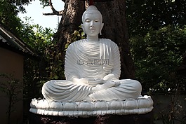 佛,佛教,冥想