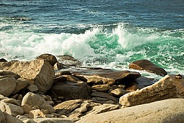 水域,海,海岸