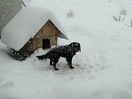 冬天,雪,巴塔哥尼亞