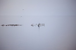 湖,沉默,休息
