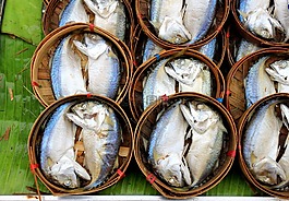 鯖魚,食品,魚