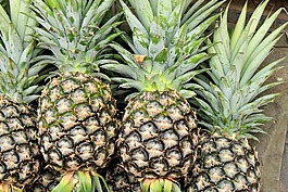菠蘿,水果,食品