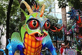 艺术节,alebrije,巡游
