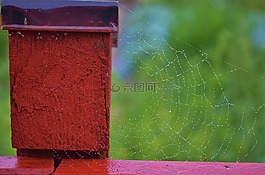下降,雨,雨滴
