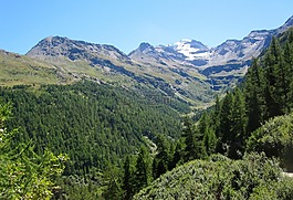 高山,瑞士,夏季