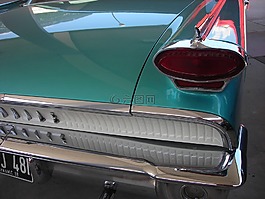 oldtimer,背光,樹干