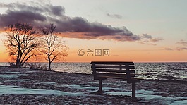 海,海洋,水