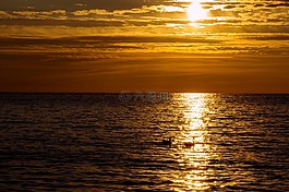 日落,海,太陽