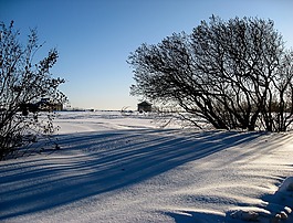 魁北克省,亞伯拉罕平原,雪景