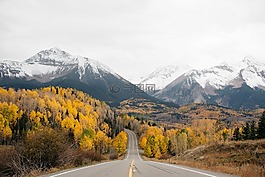 山,景觀,森林